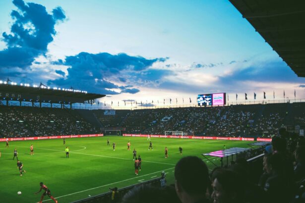 people watching soccer arena